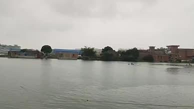 乡村拍摄雨天鱼塘实拍视频的预览图